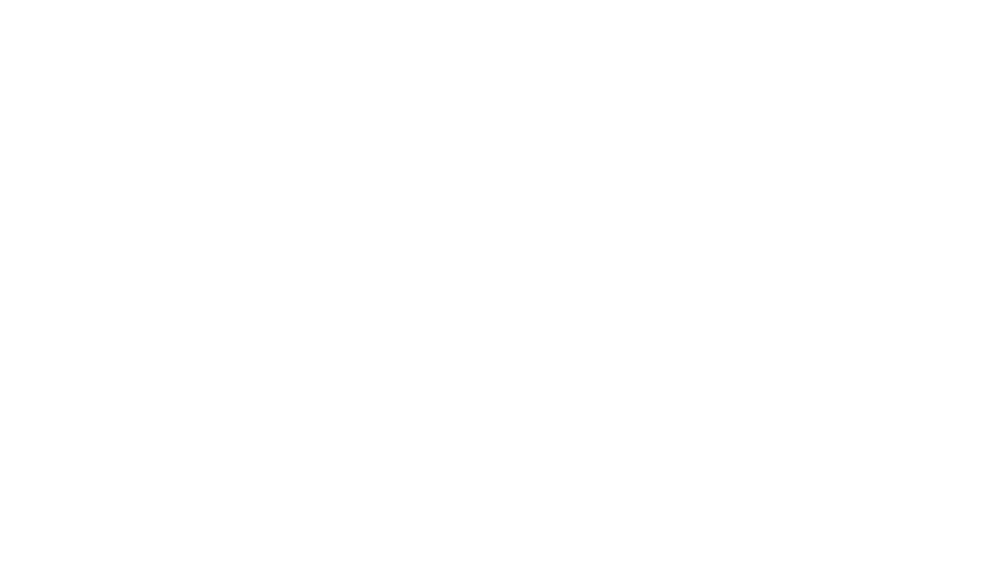 Blank white image with no visible content