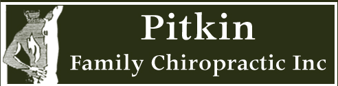 Pitkin Family Chiropractic Inc Pitkin Family Chiropractic Inc