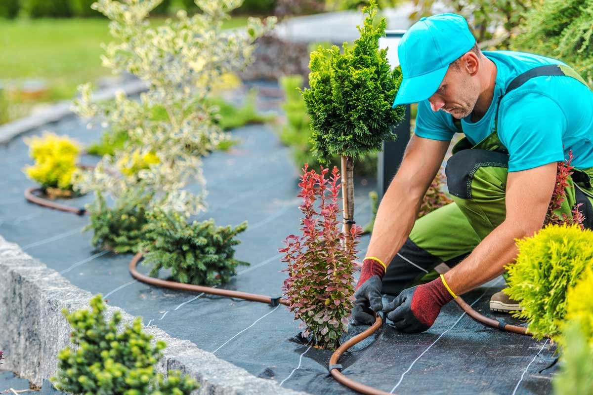 Irrigation and Drainage – Waipahu, HI – AB Landscaping & Yard Maintenance