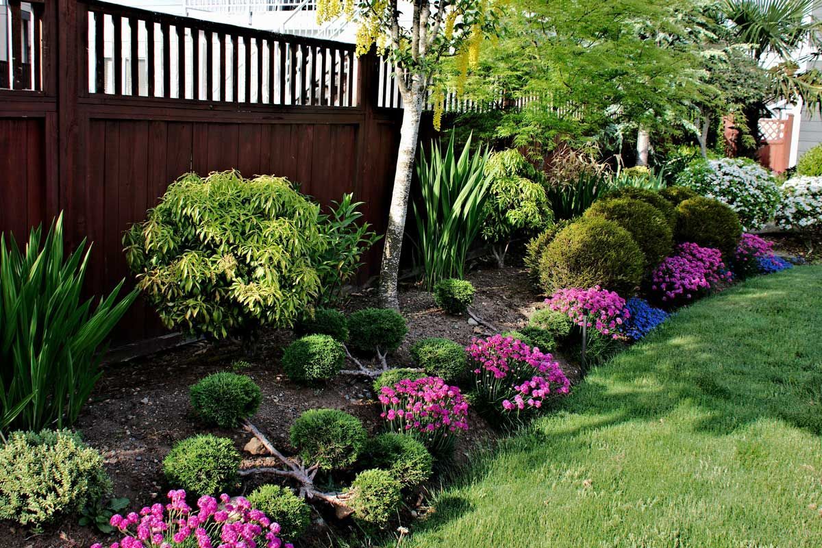 Yard Maintenance – Waipahu, HI – AB Landscaping & Yard Maintenance
