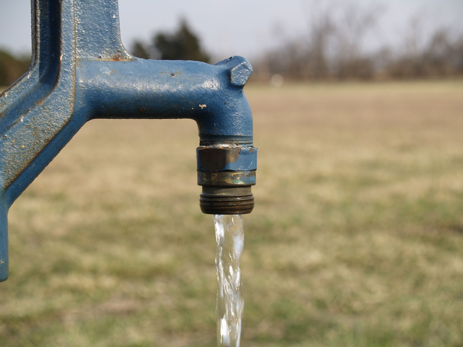 Water flows from a blue faucet in a grassy outdoor setting.