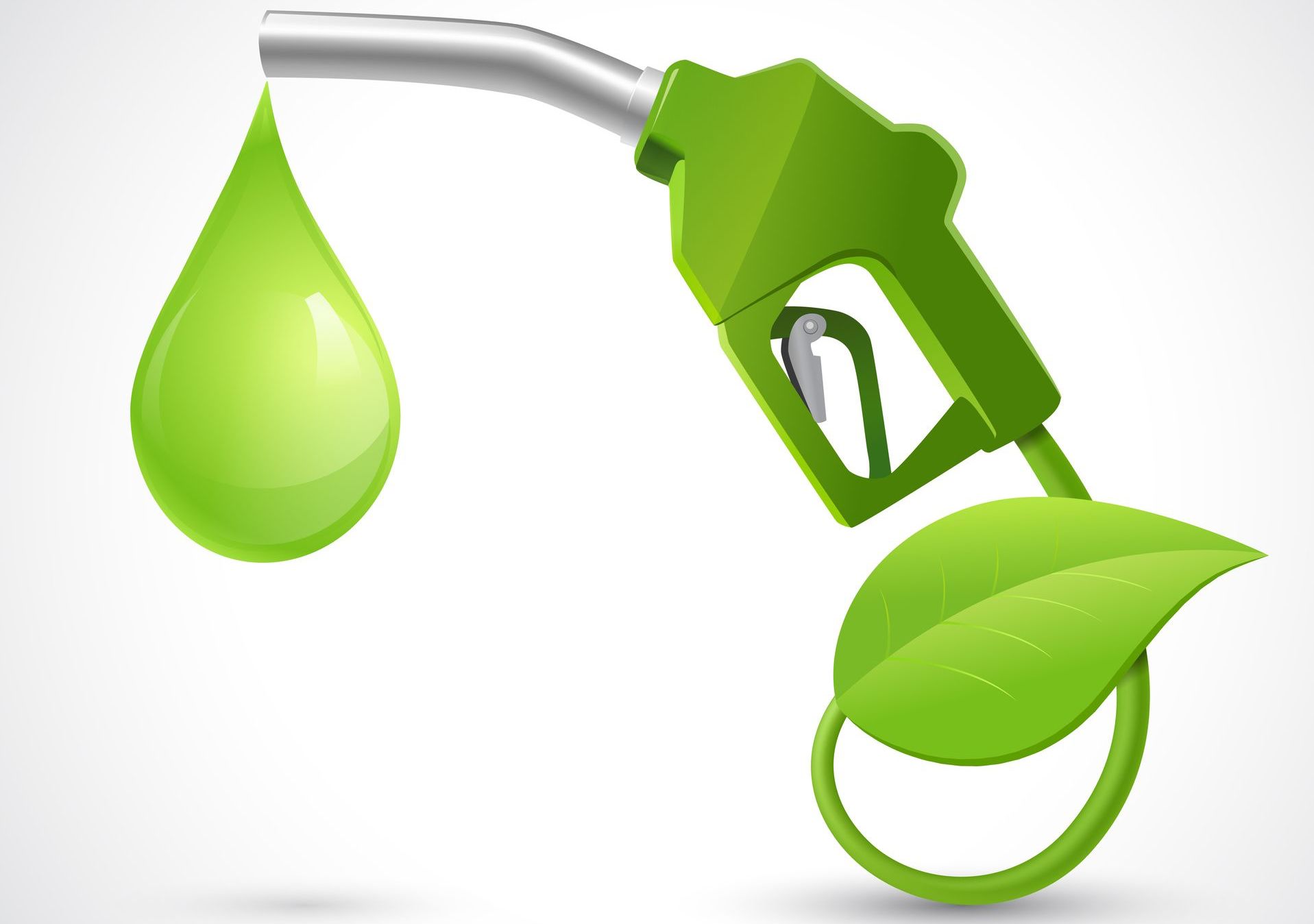 Hydrogen Electrolyzers Hydrogen Fuel Cells Hydrogen Storage Solutions Hydrogen Refueling Stations Hydrogen-Powered Vehicles