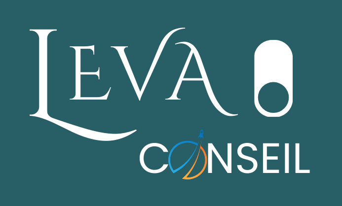 Un logo bleu et blanc pour leva conseil