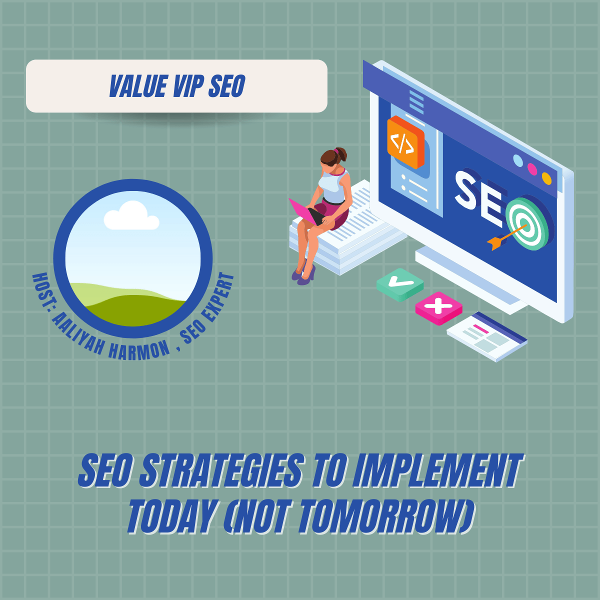 VALUE VIP SEO Merrillville Seo | Web Design | Digital Marketing