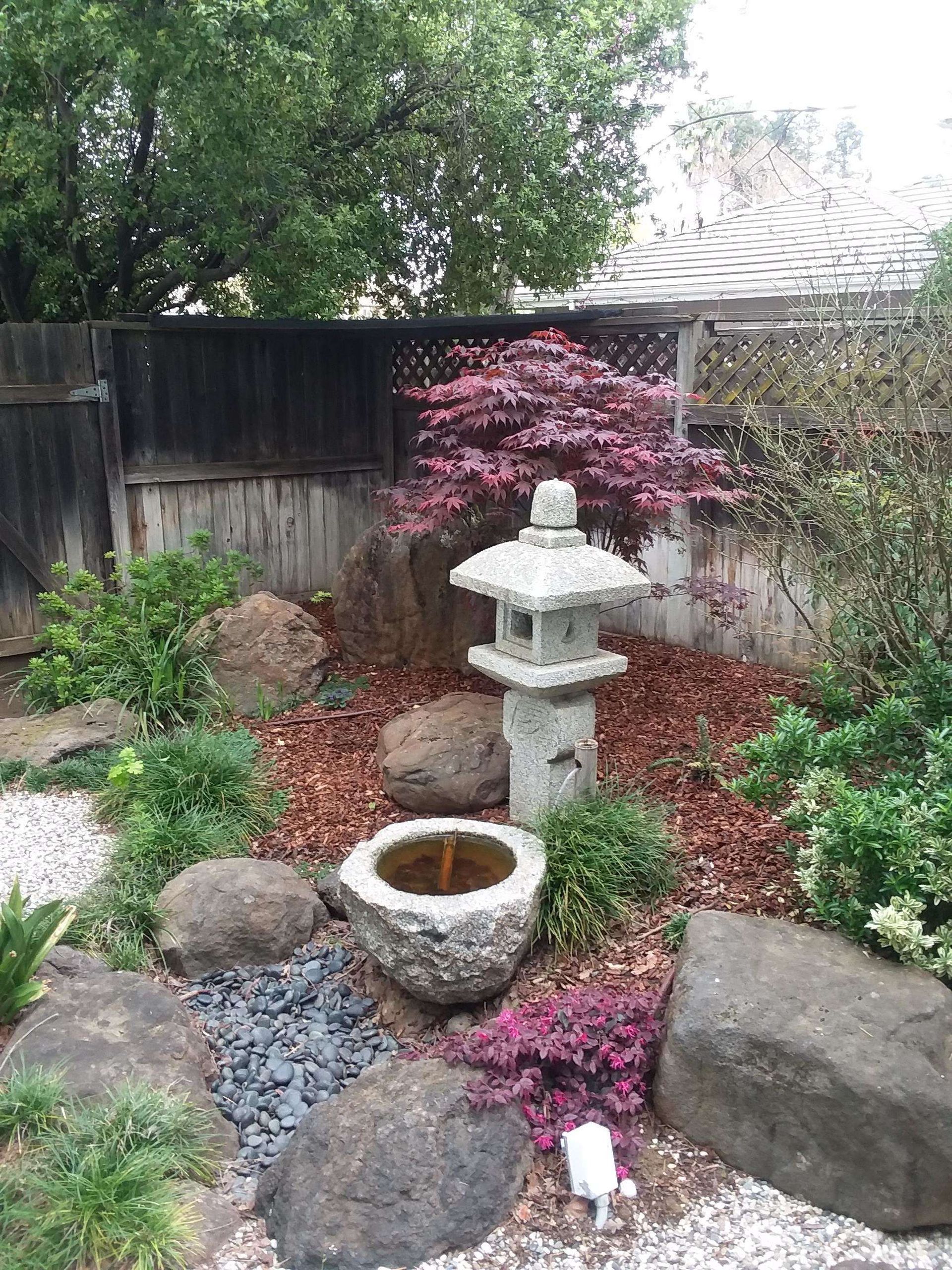 There is a lantern in the middle of the garden.