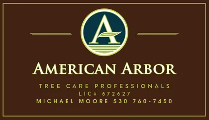 American Arbor Tree Care American Arbor Tree Care