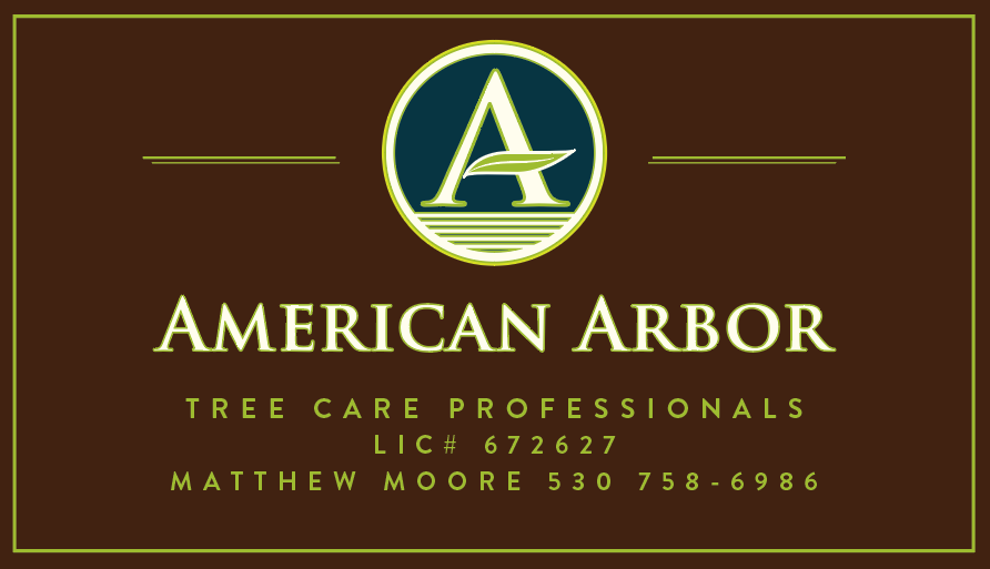 American Arbor Tree Care