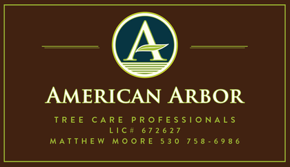 American Arbor Tree Care