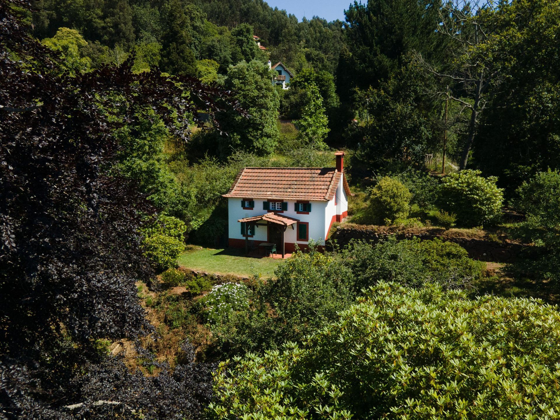 Small white cottage with red roof and chimney, nestled in lush green trees.