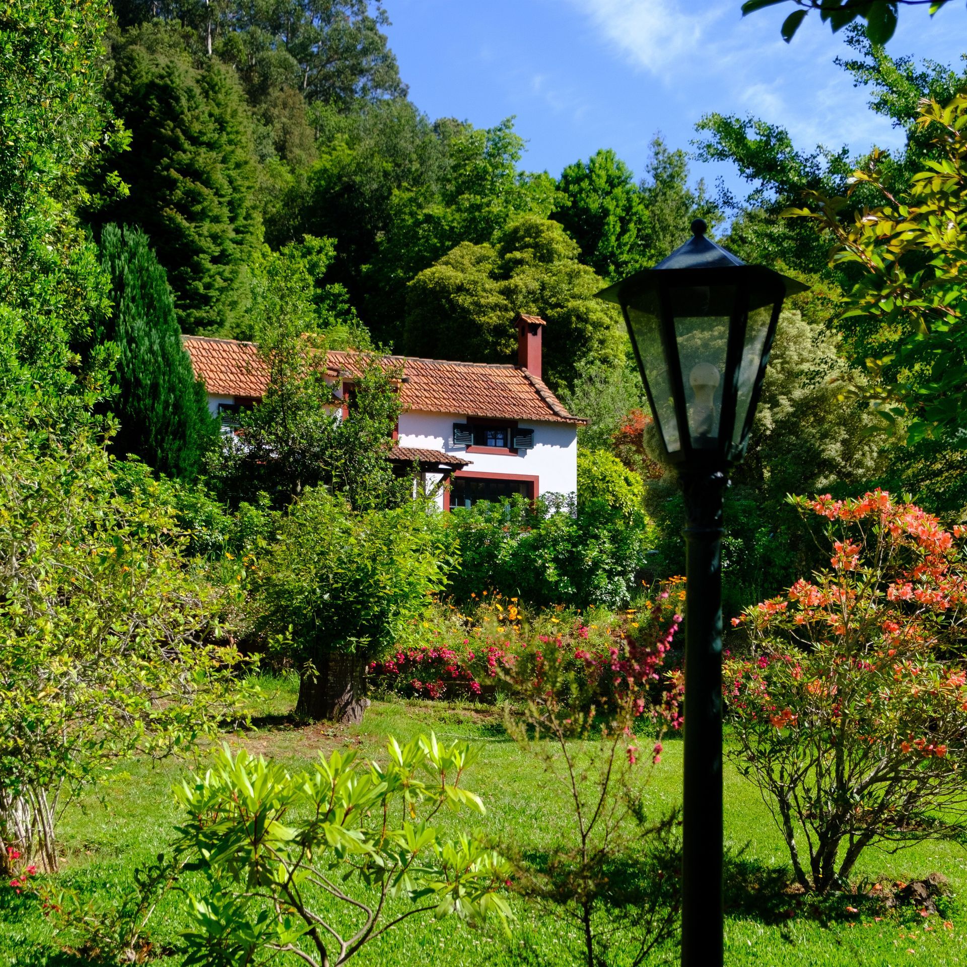Cottage nestled in lush green garden with a black lamp post in the foreground.