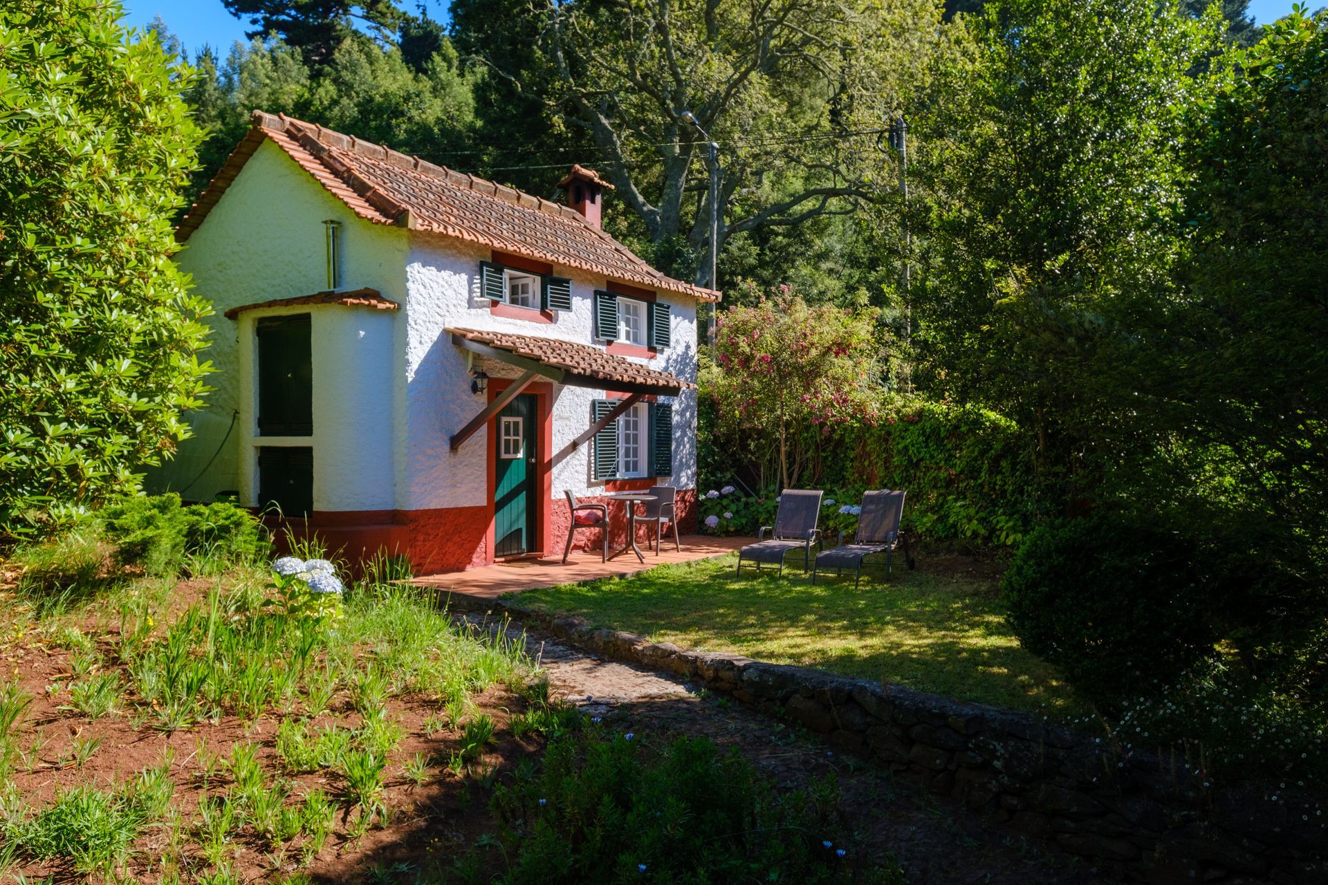 Small white cottage with red trim, green door, and tiled roof nestled in a sunny, wooded area.