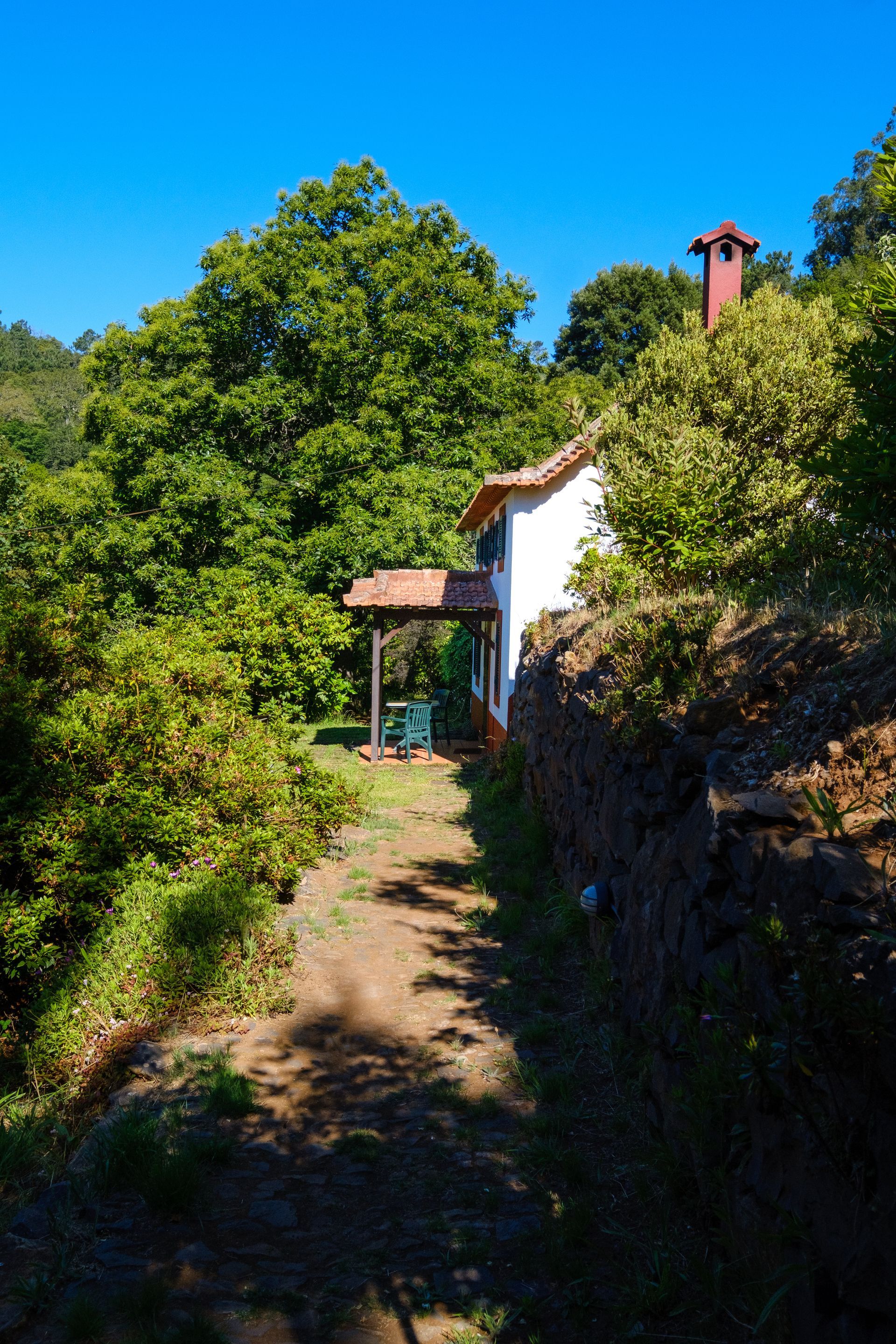 A white house with a red chimney in a lush green forest under a clear blue sky.