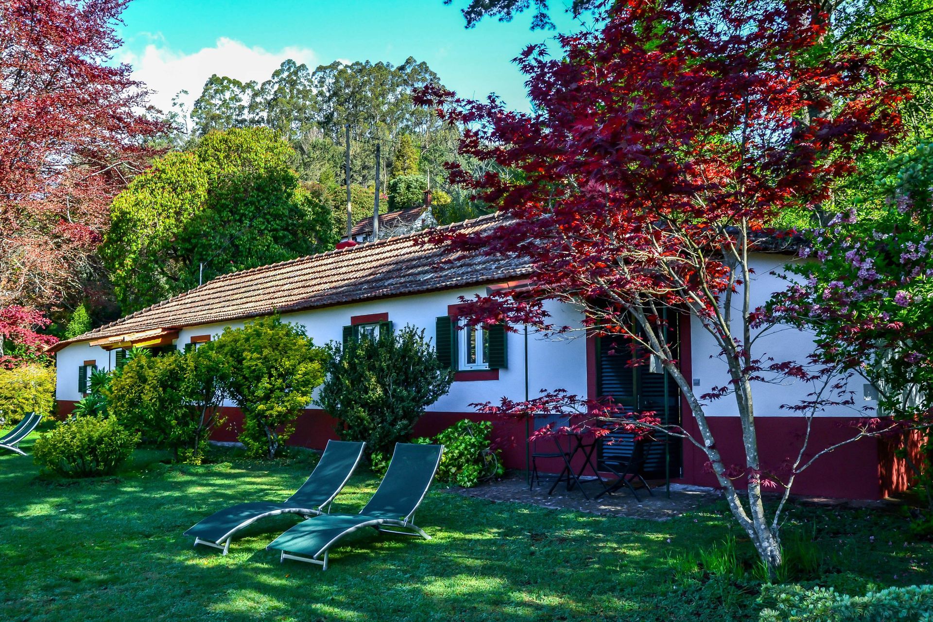Cottage with red trim, lush green lawn, and two chaise lounges under a red-leaved tree.