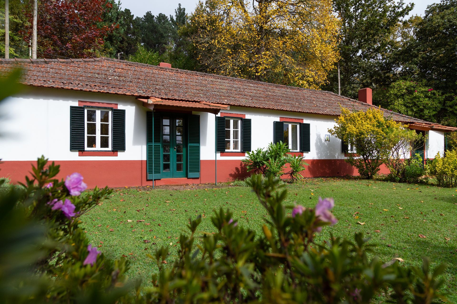White cottage with red trim and shutters on a green lawn, set among trees.