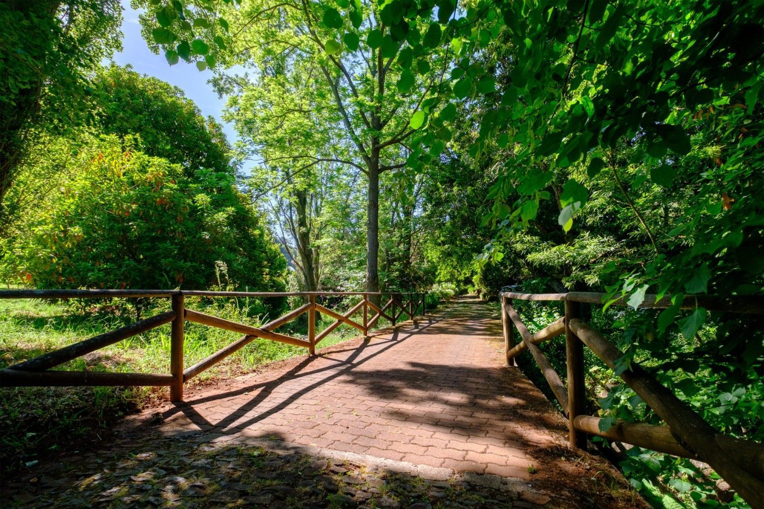 Wooden fence borders a dirt path winding through a lush, green forest on a sunny day.