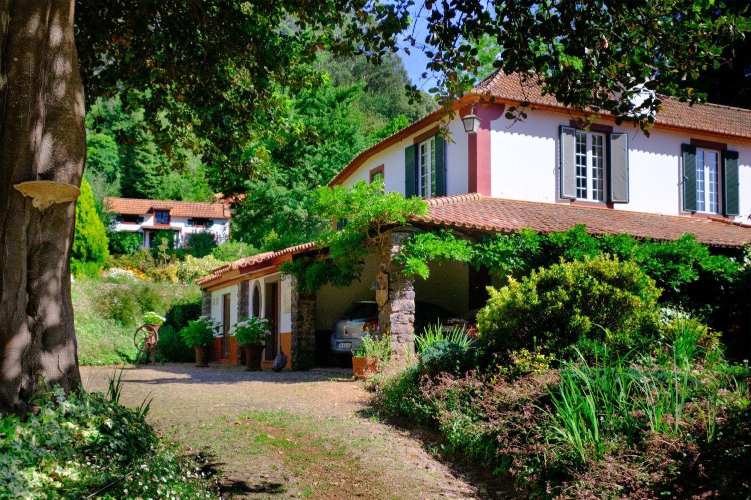 Two-story house with white walls, red trim, and green shutters, surrounded by lush greenery and a dirt driveway.