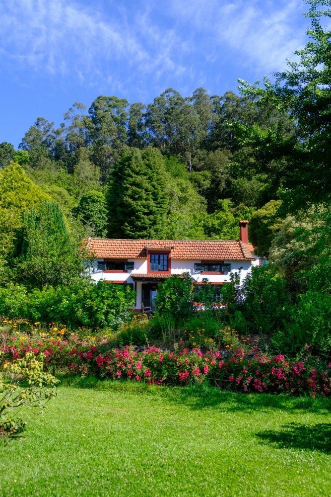 White house with red roof and chimney surrounded by lush greenery and a vibrant flower bed, against a blue sky.
