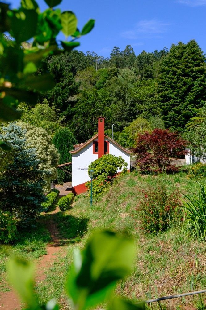 Small white house with red accents and chimney nestled in lush green trees.