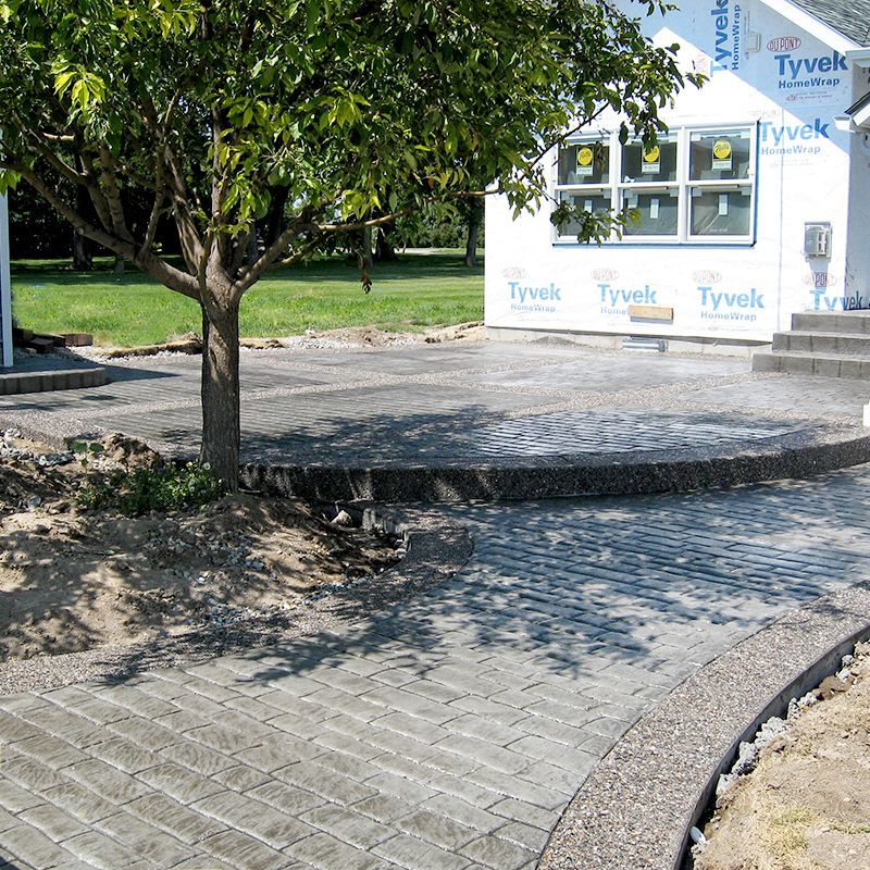 Tree in a paved courtyard beside a building under construction with Tyvek wrapping.