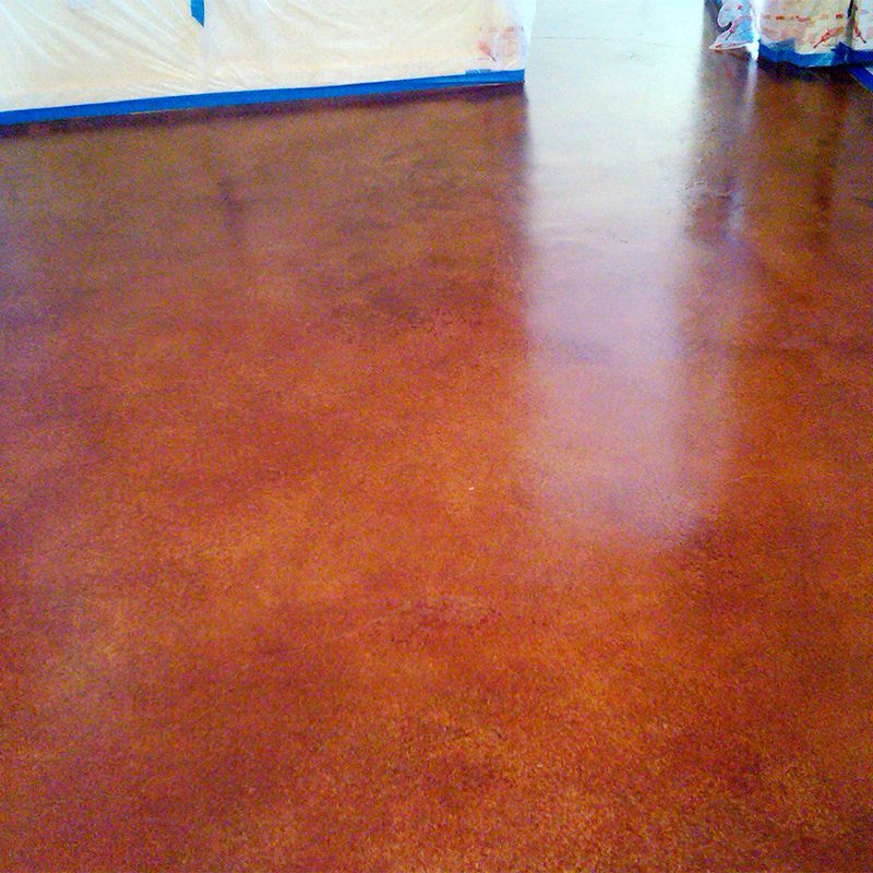 Empty reddish-brown polished floor in a room with white walls and blue trim