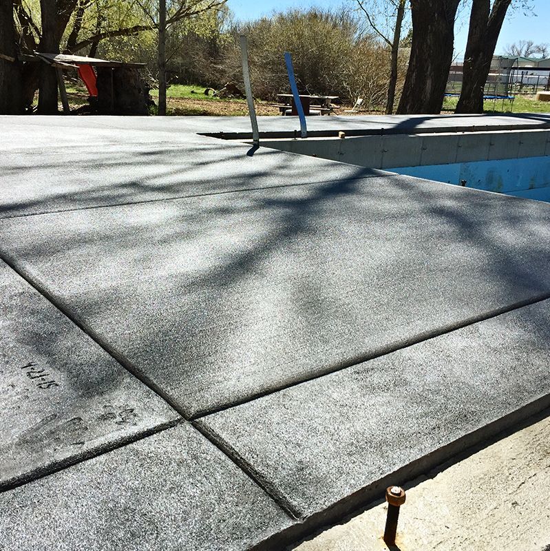 Empty concrete skatepark bowl with blue railings and tree shadows on a sunny day