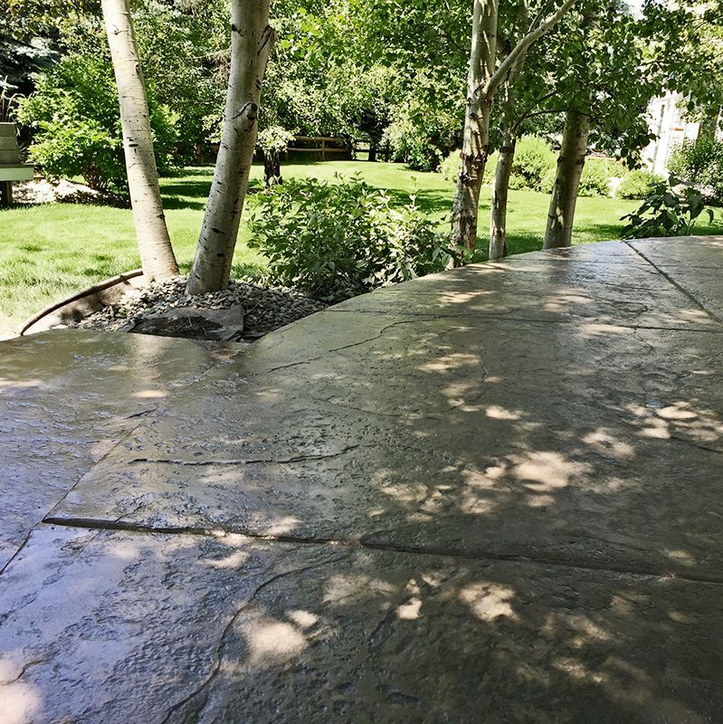 Curved wet concrete path through a green park with trees and dappled sunlight