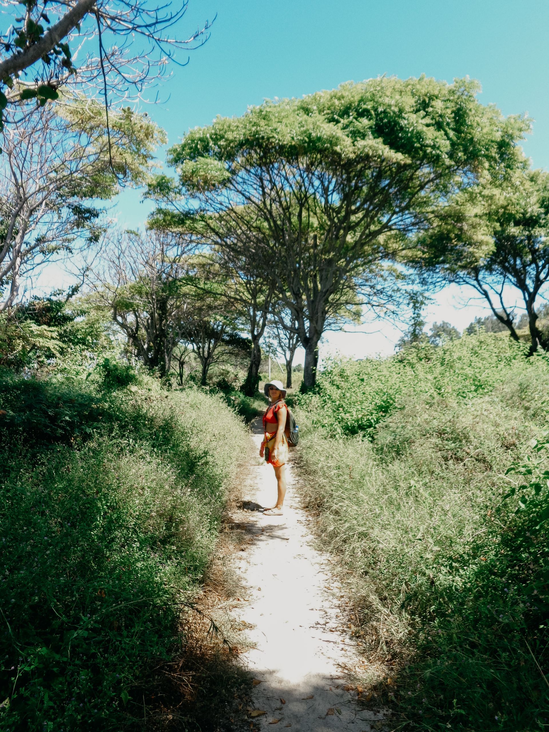 A person in a red top and shorts stands on a sandy dirt path through lush greenery beneath tall, leafy trees.