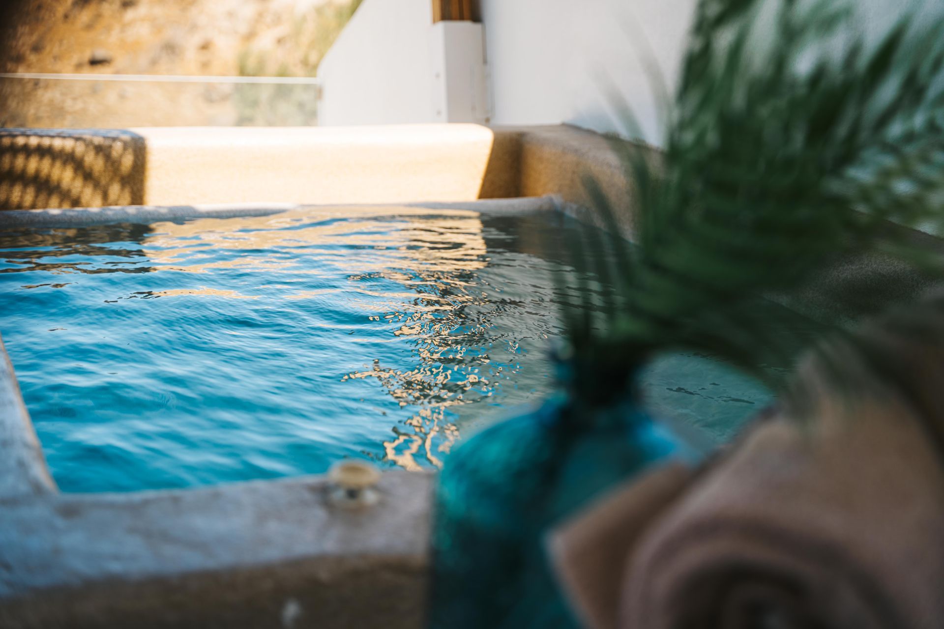 Outdoor spa with blue water, stone steps, and a blurred palm tree branch and vase in the foreground.