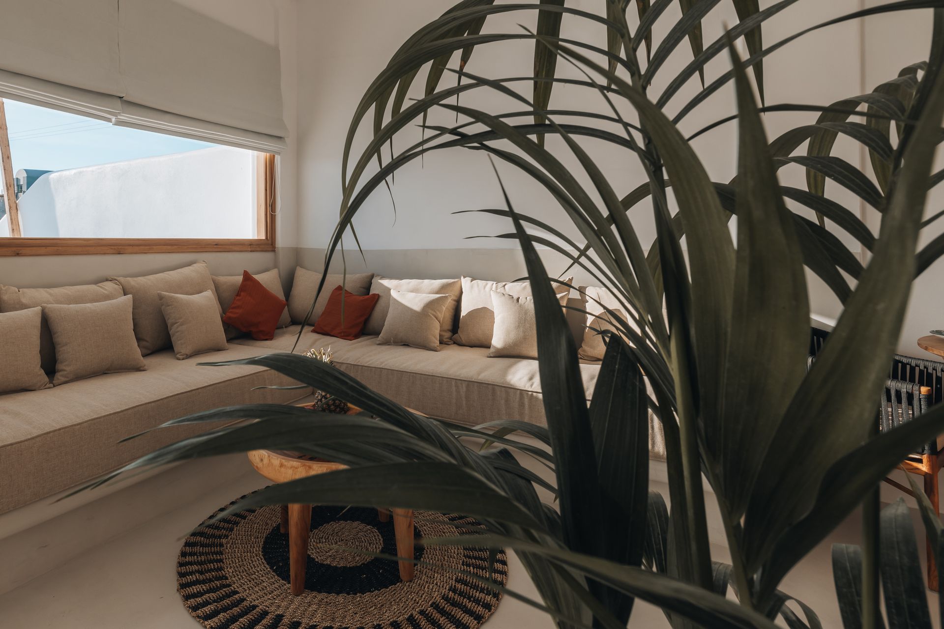 Lounge area with a built-in beige sofa, orange and beige pillows, and a round rug. A large green plant is in the foreground.