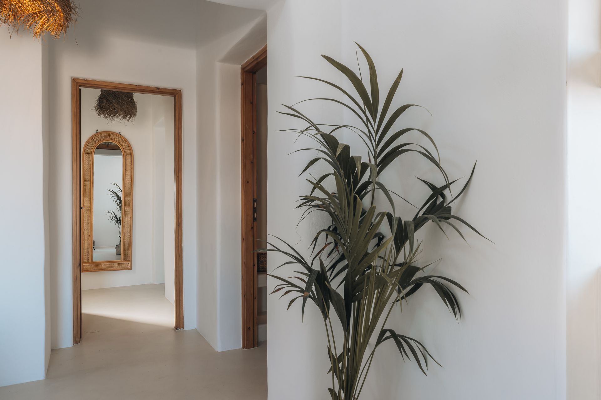 White hallway with wooden doorways and mirror; tall green plant on right.