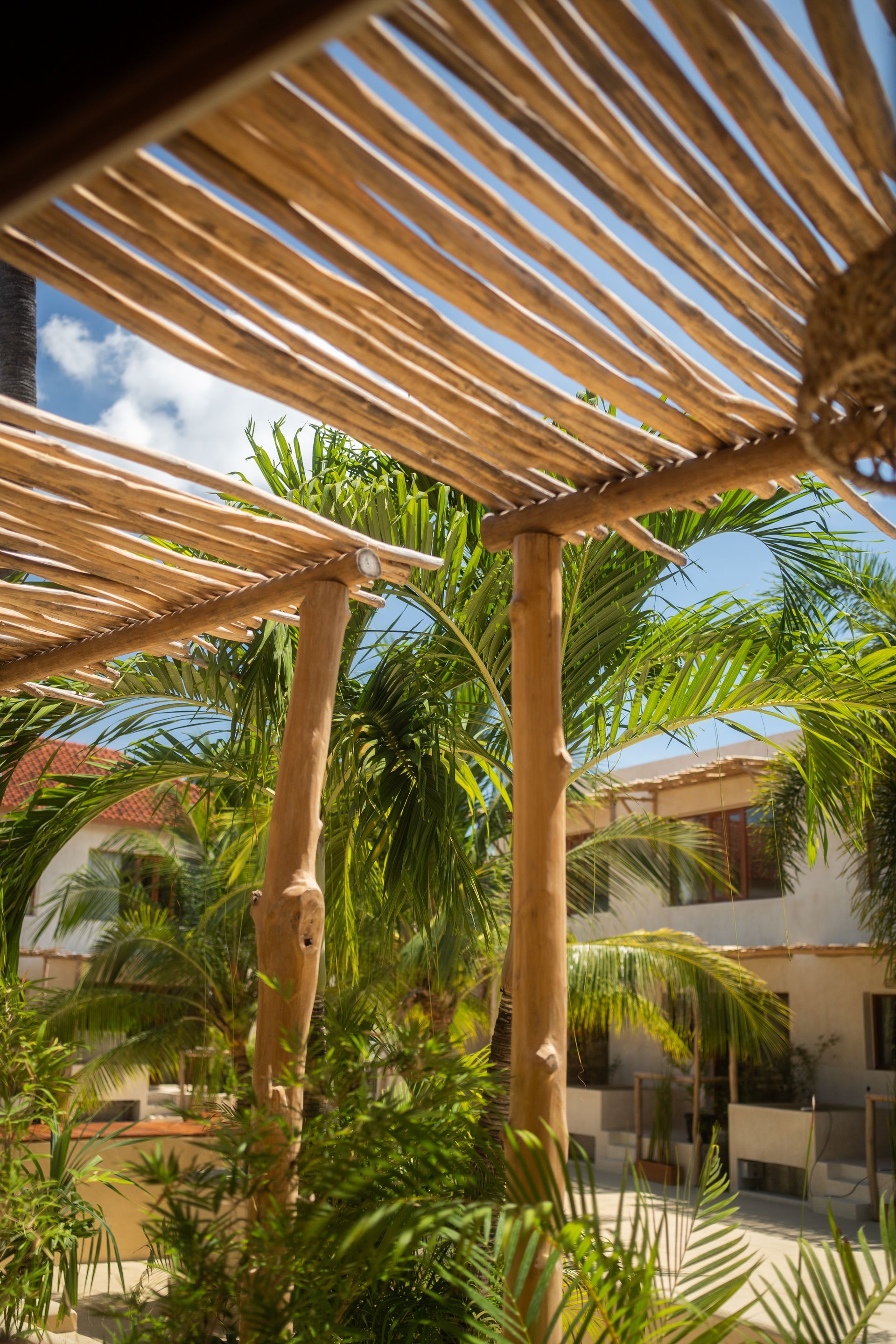 Wooden pergola over tropical plants and buildings, with blue sky peeking through.