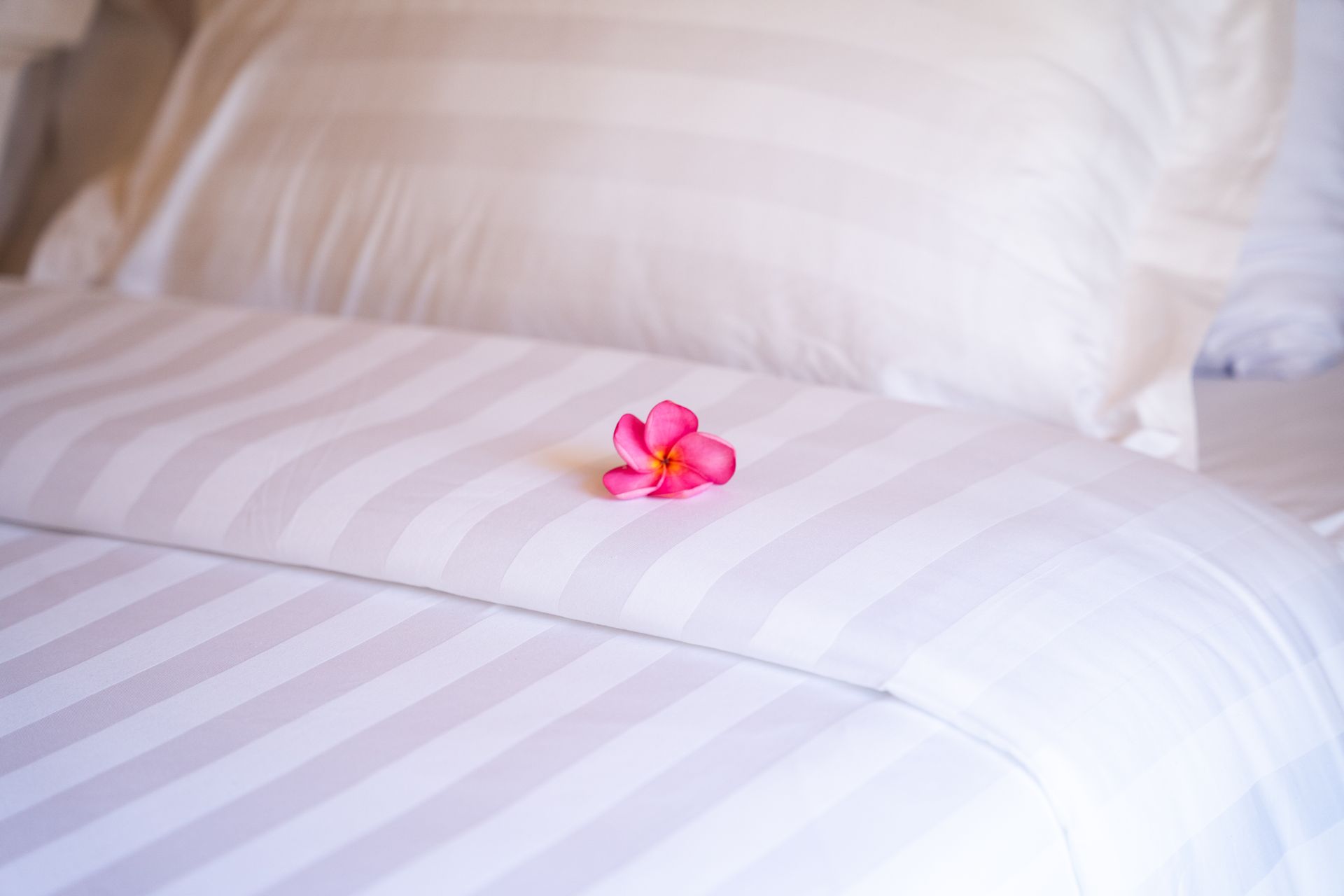 White striped bed linens with a pink flower.