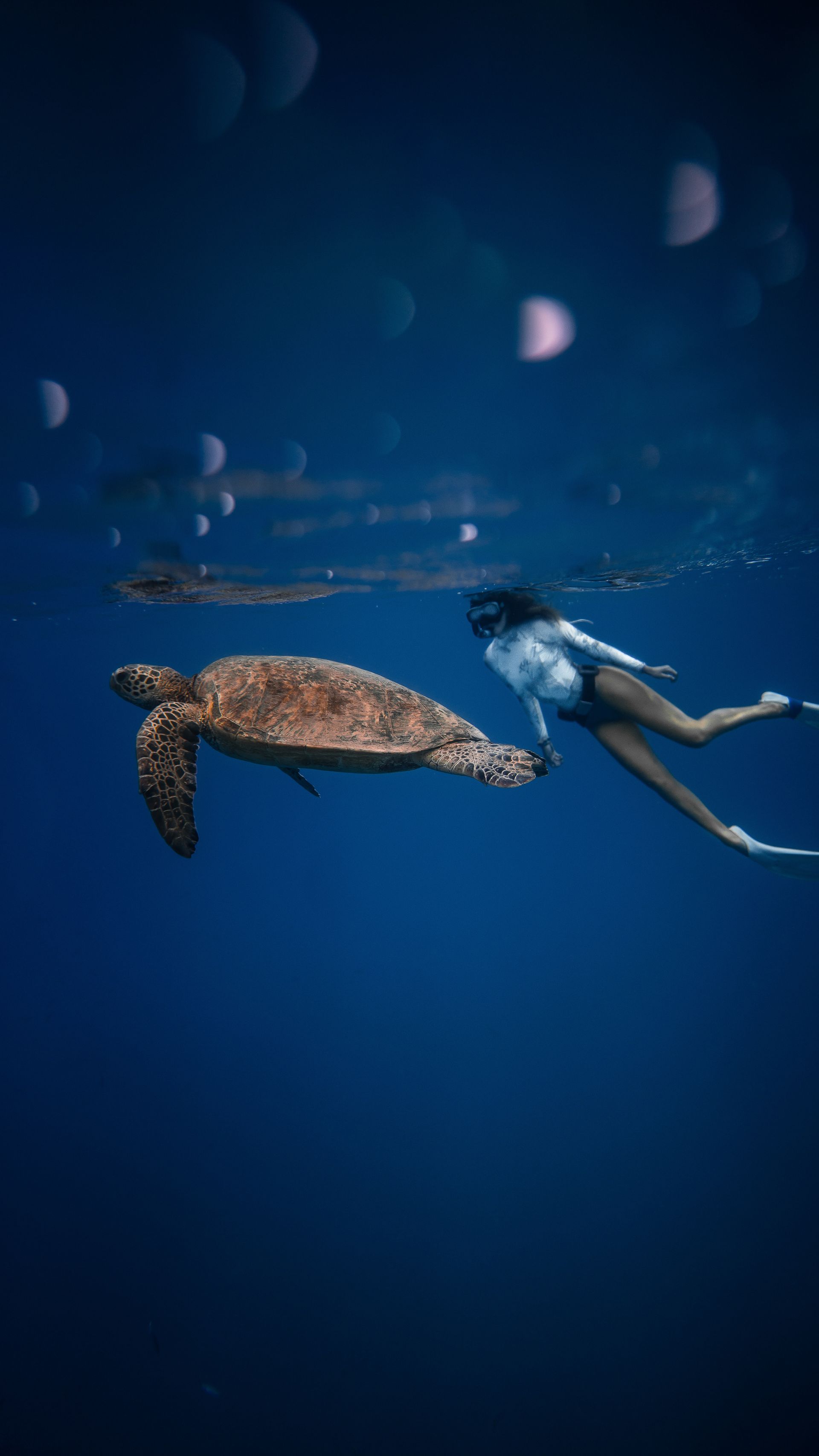 Woman snorkeling near a sea turtle in deep blue ocean.