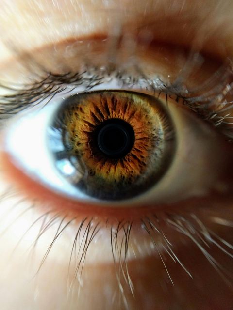 Close-up of an eye with a brown iris and surrounding eyelashes and skin.