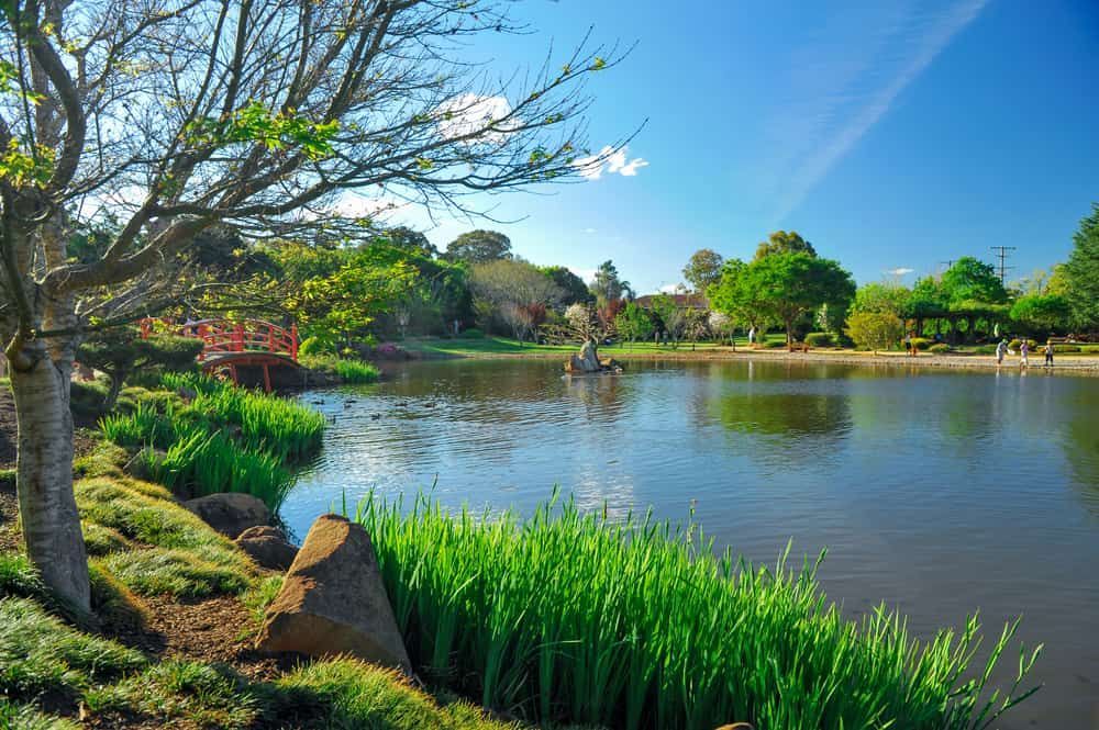 A Lake Surrounded By Trees And Grass In A Park On A Sunny Day — Wilson's Towing In Toowoomba, QLD