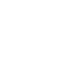 A white background with a few lines on it