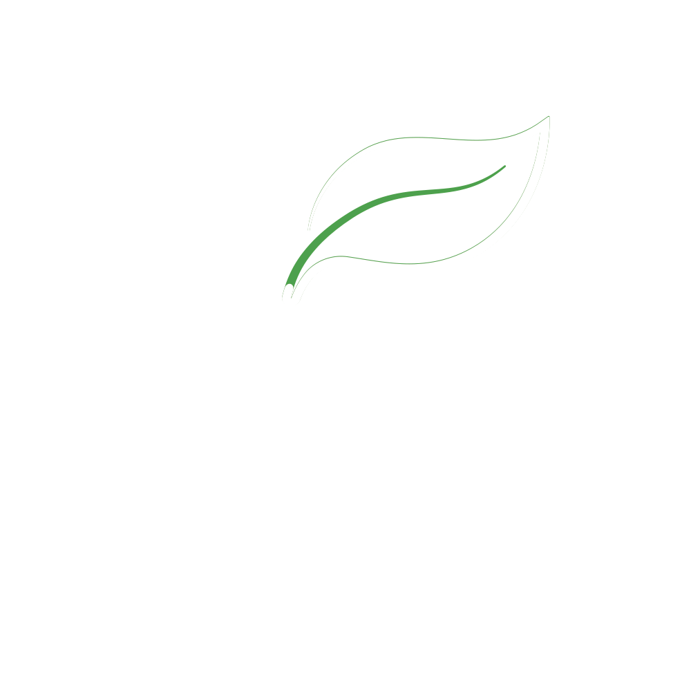 Gestion Immobilier Marki