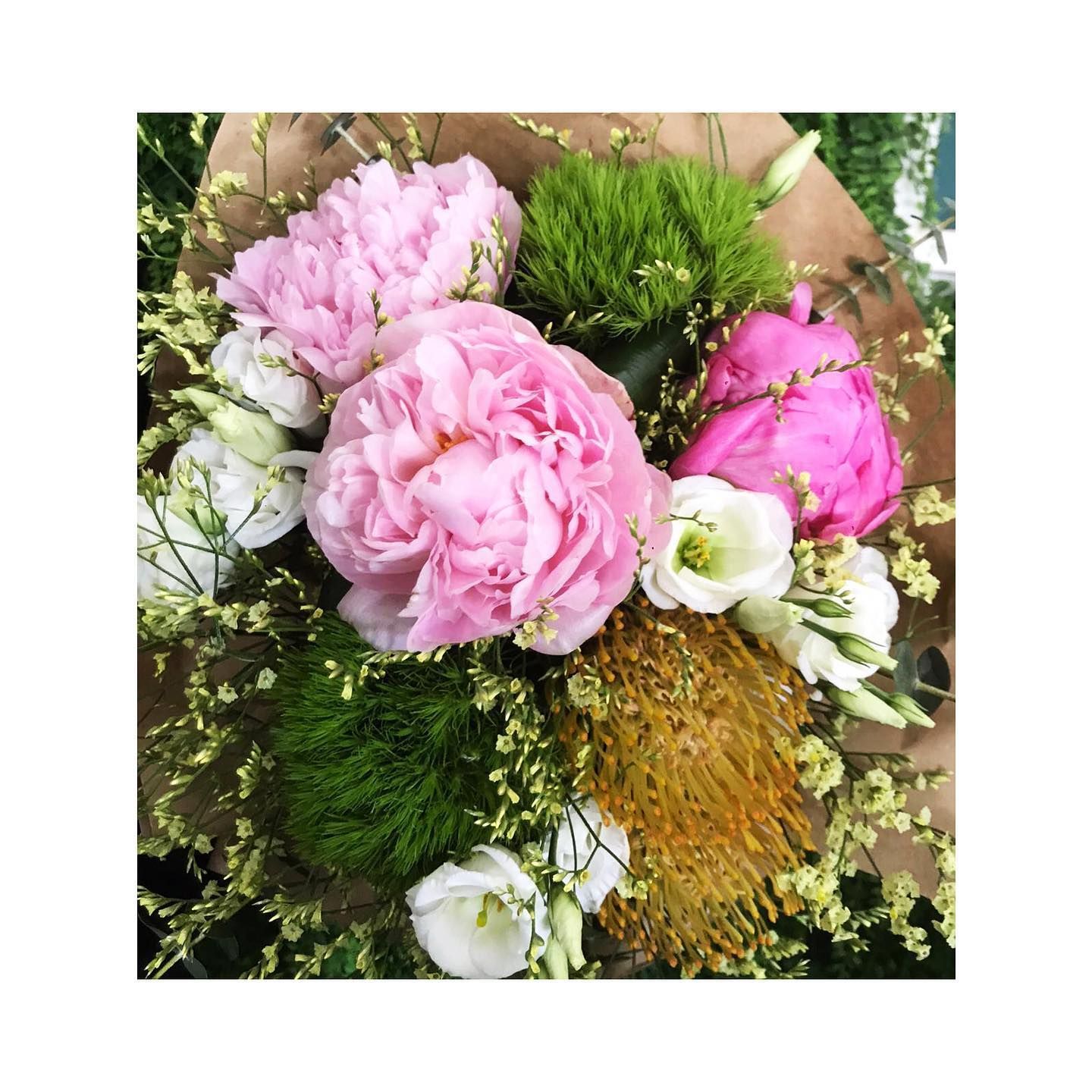 fiori rosa
