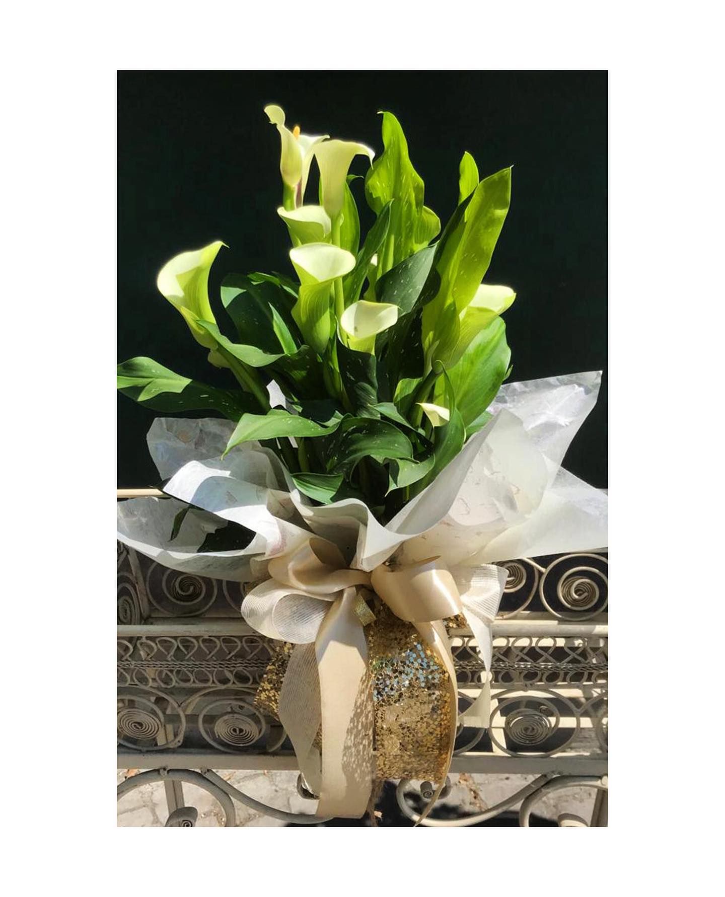 fiori in vaso