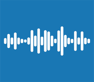 Audio forensics logo of a wave form.