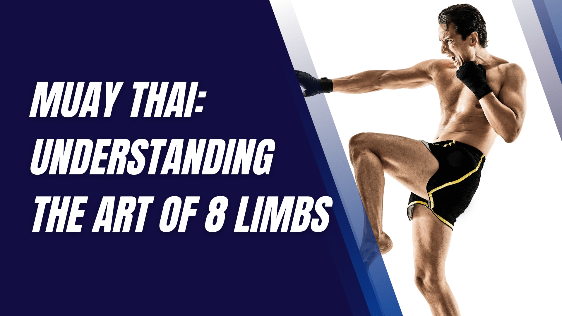 Muay Thai Fighter Pose