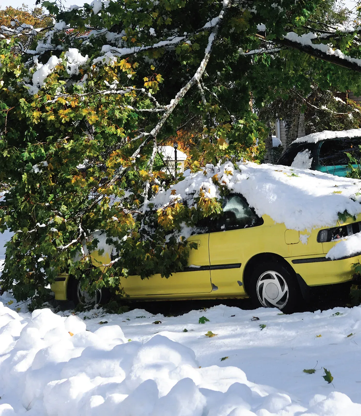 A yellow car is parked in the snow under a tree