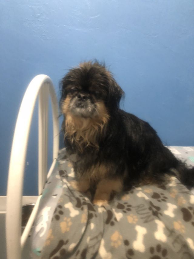 Pet Gallery Fond Du Lac, WI Curve Crest Country Club