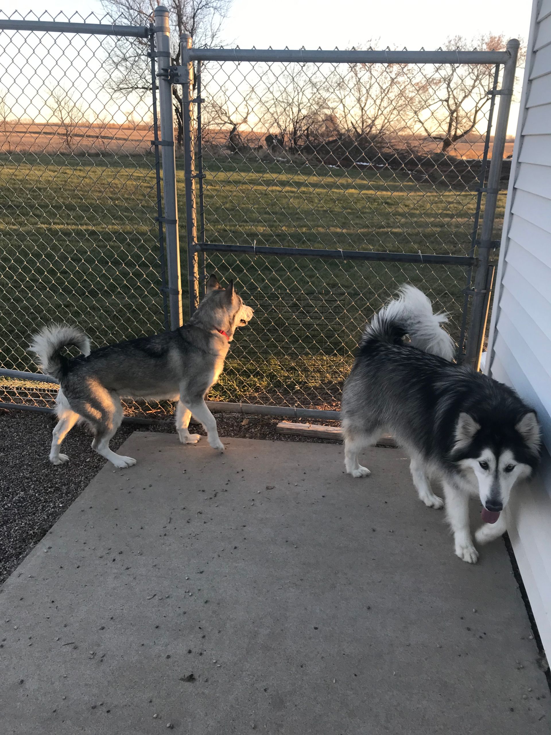 Kennels Fond Du Lac, WI Curve Crest Country Club