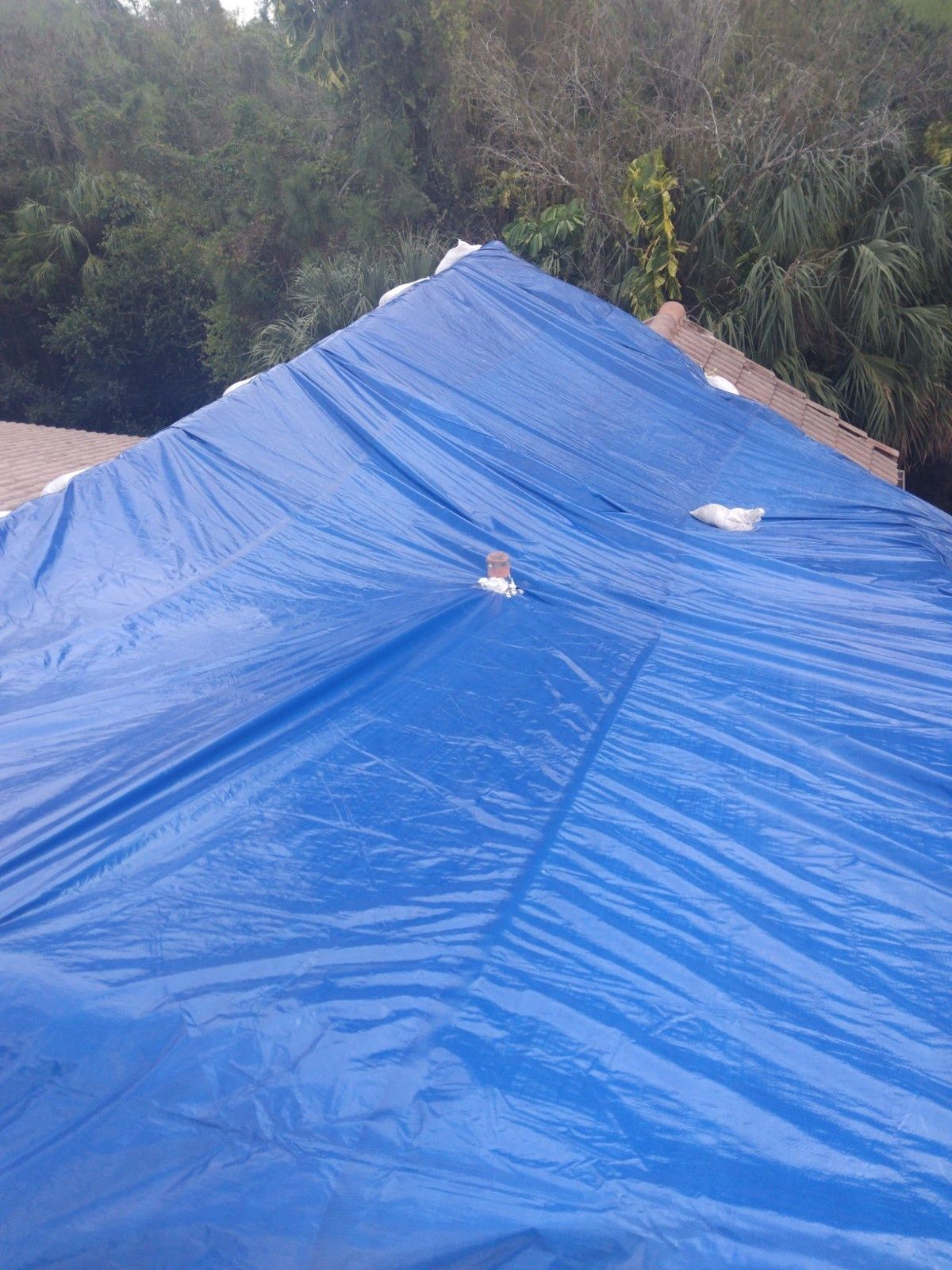 Blue tarp covering a sloped roof, with trees in the background
