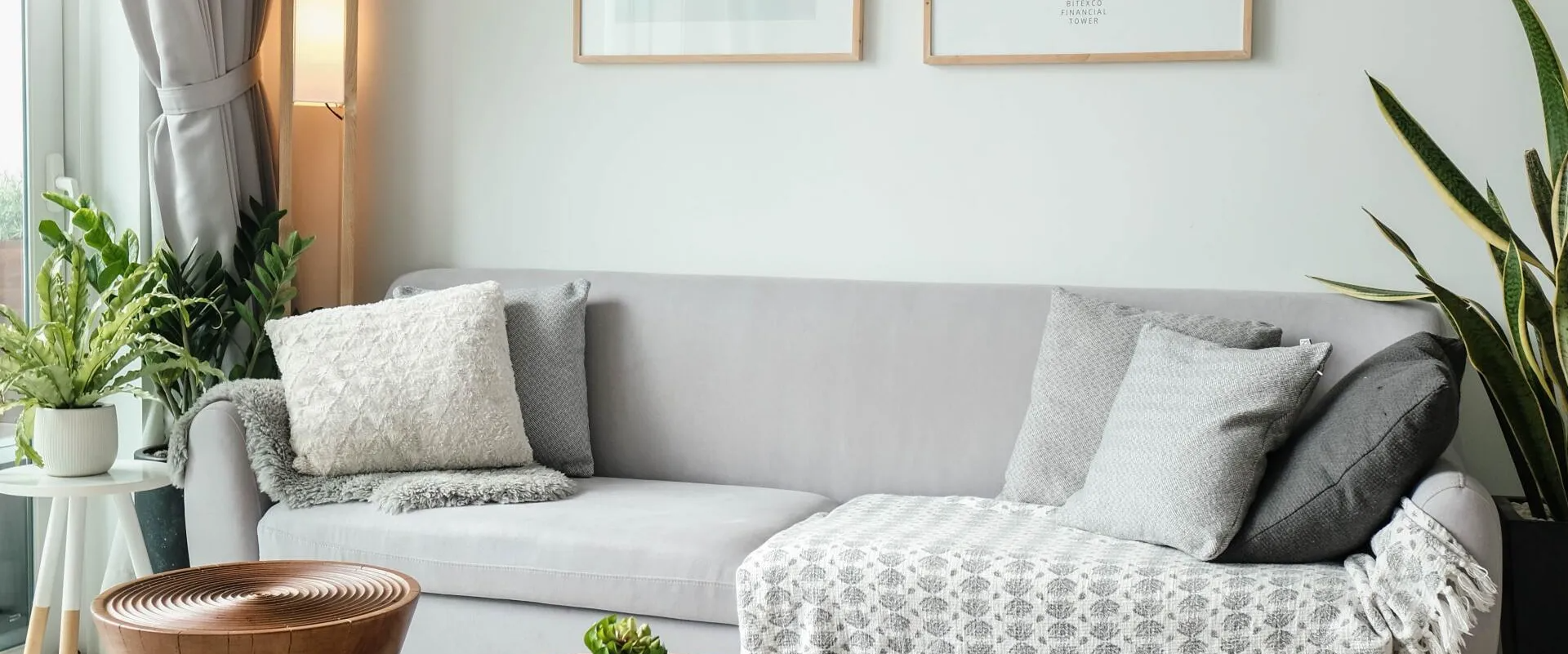 Bright living room with a light gray sofa, patterned pillows, and potted plants by a window