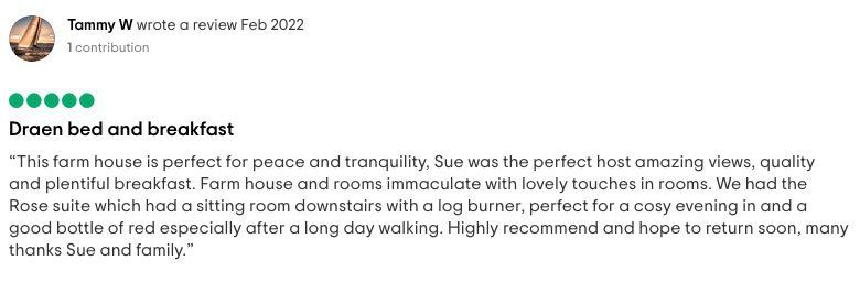 TripAdvisor review