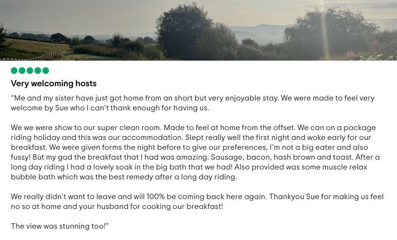 TripAdvisor Review