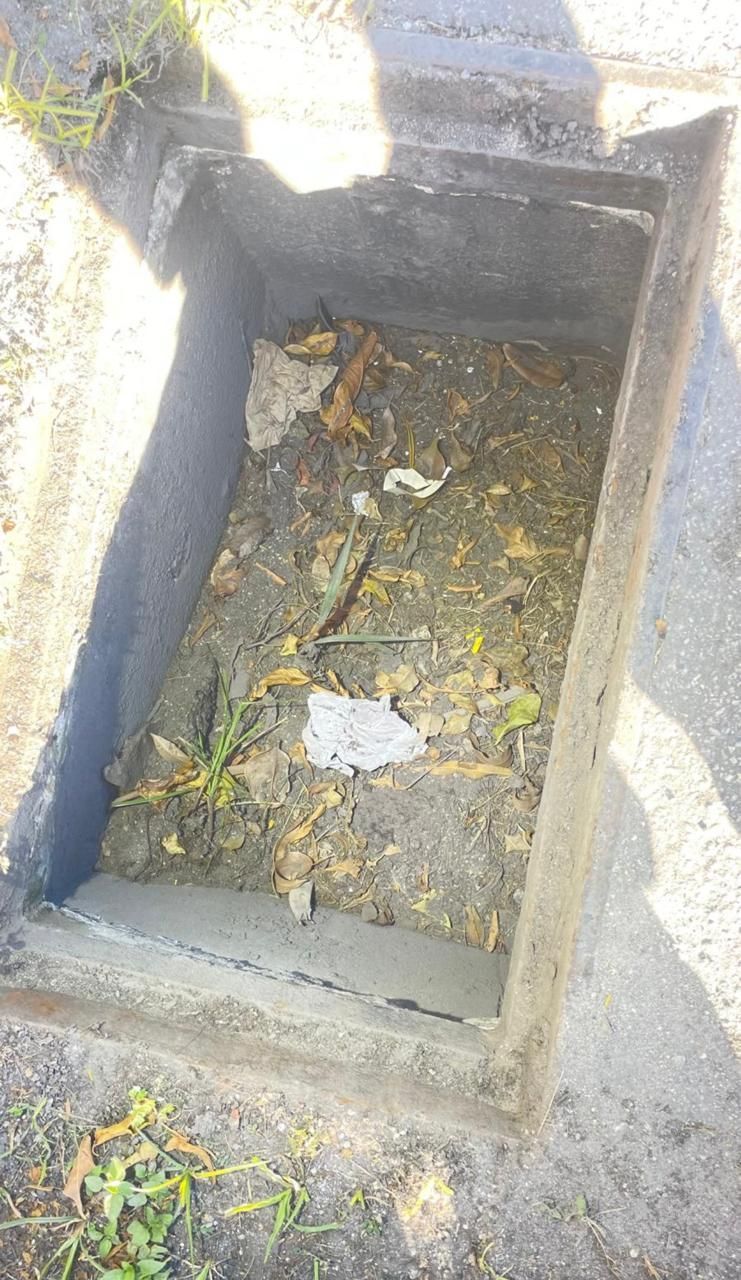 Open rectangular drainage pit with dirt, leaves, and debris inside, surrounded by concrete.