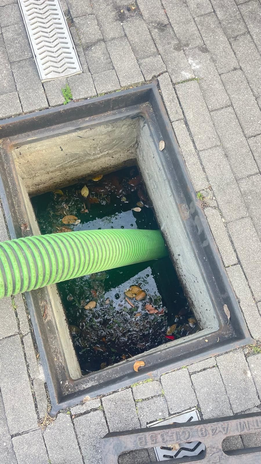 Open square drain with standing water and leaves; green corrugated hose extends into it on gray paving stones